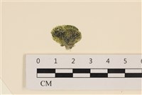 登錄號:A00004995藏品圖，第1張