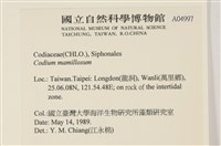 登錄號:A00004997藏品圖，第2張