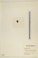 登錄號:A00004997藏品圖，第3張