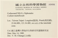 登錄號:A00004998藏品圖，第2張