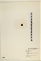 登錄號:A00004998藏品圖，第3張