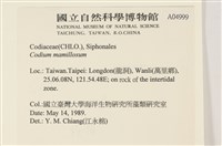 登錄號:A00004999藏品圖，第2張