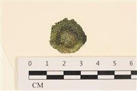 登錄號:A00004999藏品圖，第1張