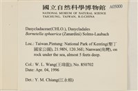 登錄號:A00005000藏品圖，第2張