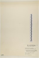 登錄號:A00005000藏品圖，第3張