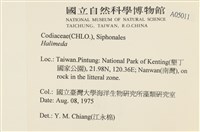 登錄號:A00005011藏品圖，第2張