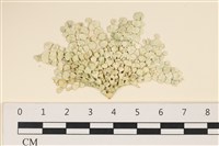 登錄號:A00005011藏品圖，第1張