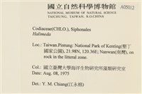 登錄號:A00005012藏品圖，第2張