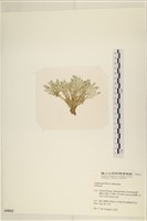 登錄號:A00005012藏品圖，第3張