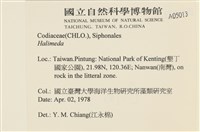 登錄號:A00005013藏品圖，第2張