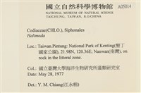 登錄號:A00005014藏品圖，第2張