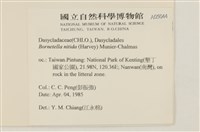 登錄號:A00005044藏品圖，第2張