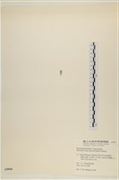 登錄號:A00005044藏品圖，第3張