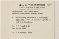 登錄號:A00005045藏品圖，第2張