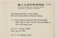 登錄號:A00005046藏品圖，第2張