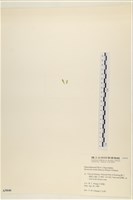 登錄號:A00005046藏品圖，第3張