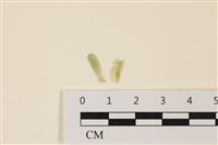 登錄號:A00005046藏品圖，第1張