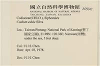 登錄號:A00005047藏品圖，第2張