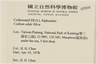 登錄號:A00005048藏品圖，第2張