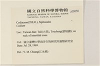 登錄號:A00005050藏品圖，第2張