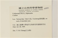 登錄號:A00005051藏品圖，第2張