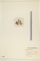 登錄號:A00005051藏品圖，第3張