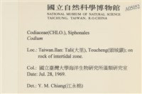 登錄號:A00005052藏品圖，第2張