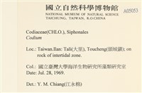 登錄號:A00005053藏品圖，第2張