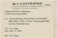 登錄號:A00005054藏品圖，第2張
