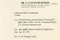 登錄號:A00005055藏品圖，第2張