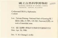 登錄號:A00005056藏品圖，第2張