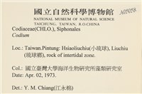 登錄號:A00005058藏品圖，第2張