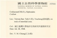 登錄號:A00005060藏品圖，第1張