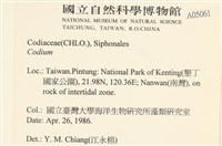 登錄號:A00005061藏品圖，第2張