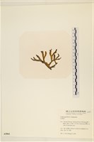 登錄號:A00005061藏品圖，第3張