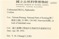 登錄號:A00005064藏品圖，第2張