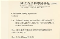 登錄號:A00005065藏品圖，第2張