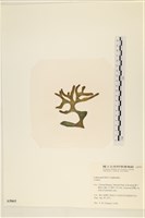 登錄號:A00005065藏品圖，第3張