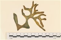 登錄號:A00005065藏品圖，第1張