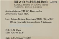 登錄號:A00005074藏品圖，第2張