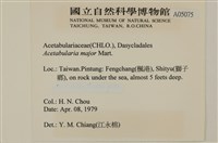 登錄號:A00005075藏品圖，第2張