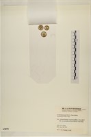 登錄號:A00005075藏品圖，第3張