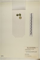 登錄號:A00005076藏品圖，第3張