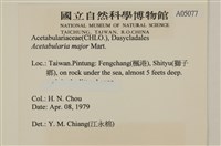 登錄號:A00005077藏品圖，第2張