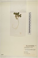 登錄號:A00005077藏品圖，第3張