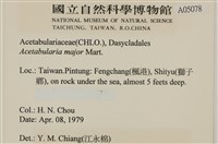 登錄號:A00005078藏品圖，第2張