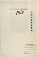 登錄號:A00005079藏品圖，第3張