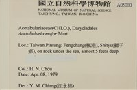 登錄號:A00005080藏品圖，第2張