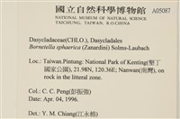 登錄號:A00005087藏品圖，第2張