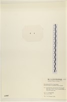 登錄號:A00005087藏品圖，第3張